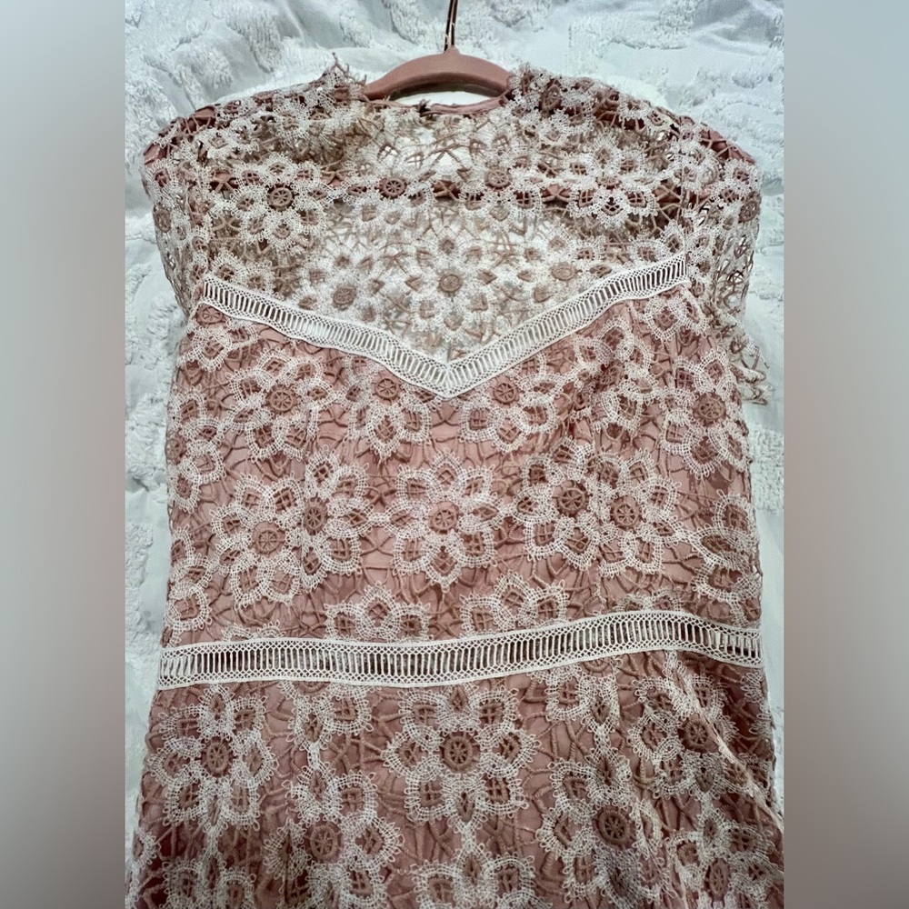 SAYLOR Lillie Lace Illusion Dress 
Illusion Neckline/Open Back 
MED 
BLUSH/IVORY - Picture 11 of 16